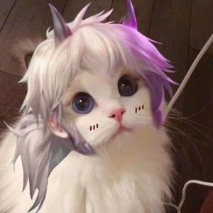 Meet your Posher, Paula